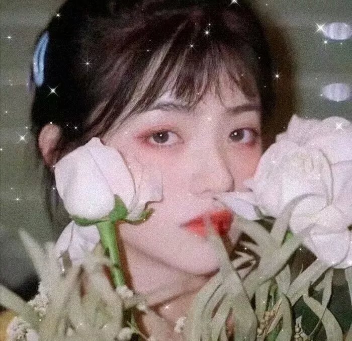 杀人命盘